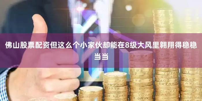 佛山股票配资但这么个小家伙却能在8级大风里翱翔得稳稳当当