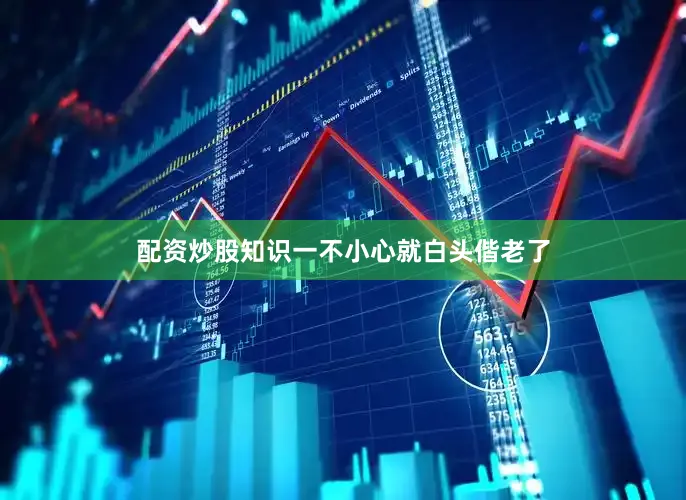 配资炒股知识一不小心就白头偕老了