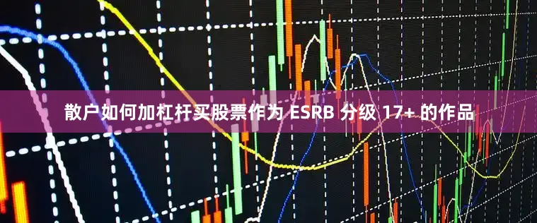 散户如何加杠杆买股票作为 ESRB 分级 17+ 的作品