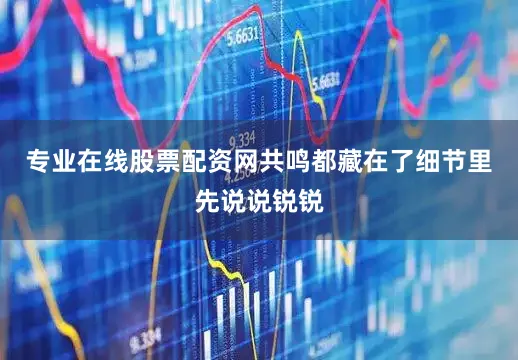专业在线股票配资网共鸣都藏在了细节里先说说锐锐