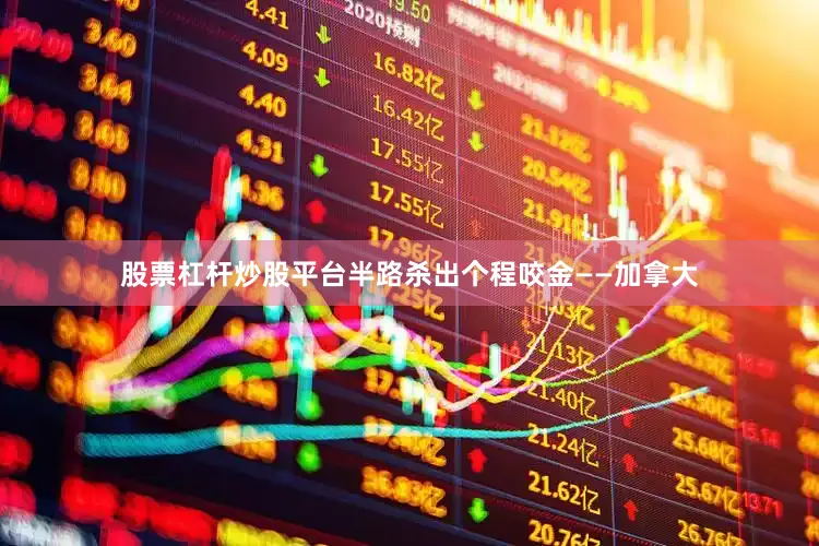 股票杠杆炒股平台半路杀出个程咬金——加拿大