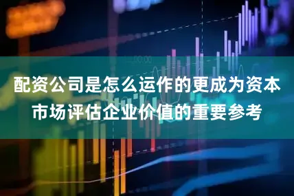 配资公司是怎么运作的更成为资本市场评估企业价值的重要参考